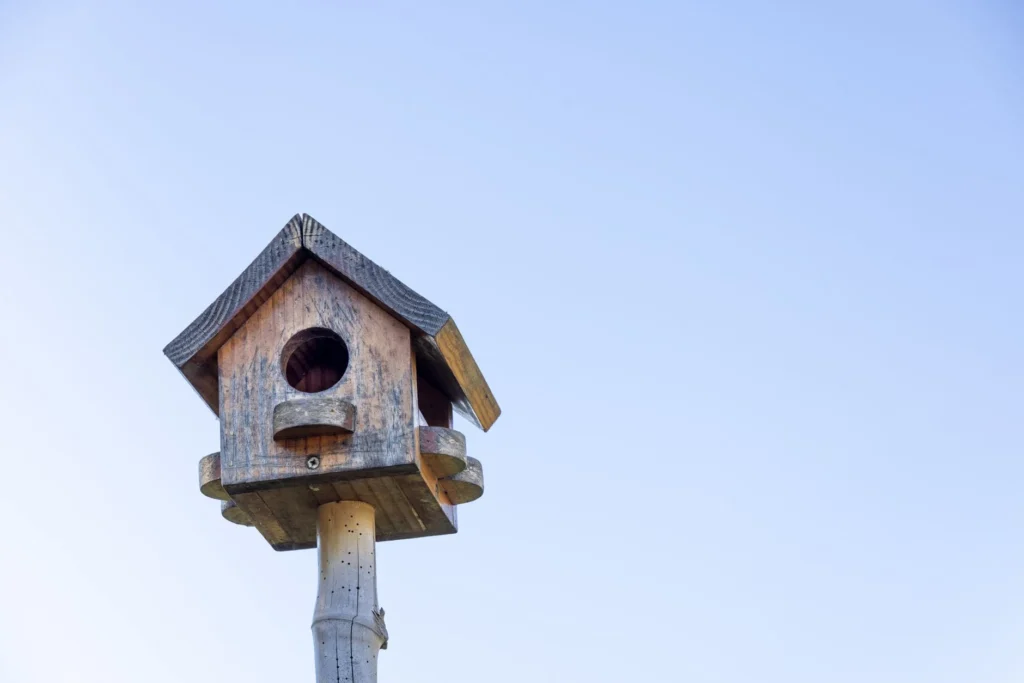 Nestkast aan bedrijfsgebouw voor biodiversiteit