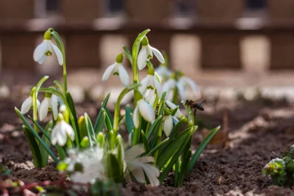 Groen dak met bloemen op kantoorgebouw