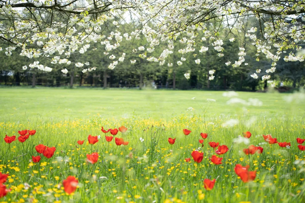 Bloemenweiland bij ingang bedrijventerrein